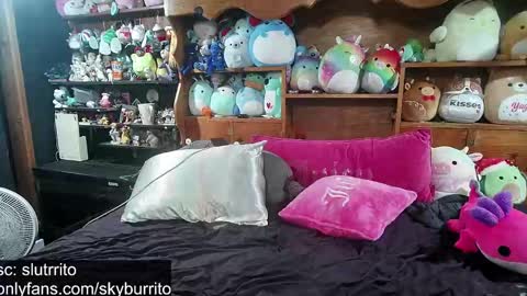 Snapshot of queer_burrito chatting on 6, 10, 2025 Sky Burrito online show from 6, 10, 2025