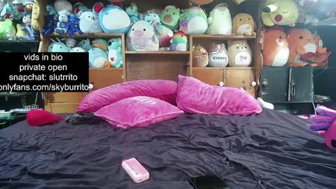 Snapshot of queer_burrito chatting on 18, 10, 2025 Sky Burrito online show from 18, 10, 2025