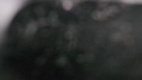 Dmitry online show from 11, 3, 2025