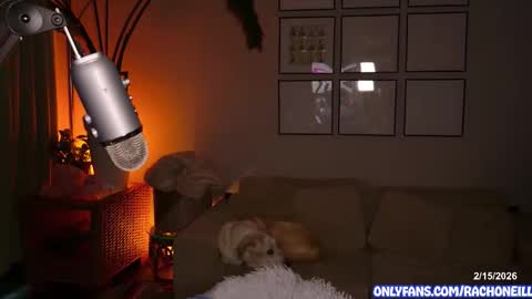 Snapshot of rach_oneill chatting on 15, 2, 2026 Rach ONeill online show from 15, 2, 2026