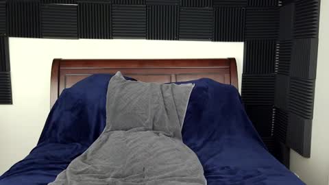 Rachel Price online show from 15, 11, 2025