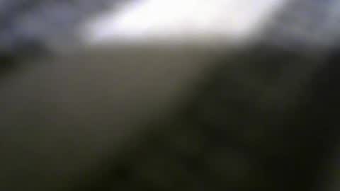 Rafaella online show from 8, 3, 2025