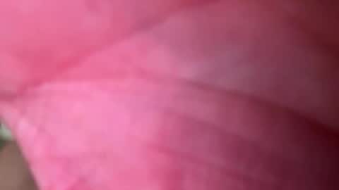 Snapshot of ragerd420 chatting on 24, 2, 2026 ragerd420 online show from 24, 2, 2026