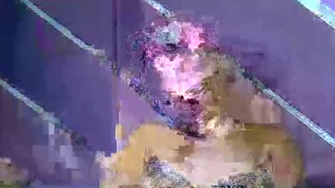 Snapshot of rainbow_baby26 chatting on 7, 3, 2026 rainbow baby26 online show from 7, 3, 2026