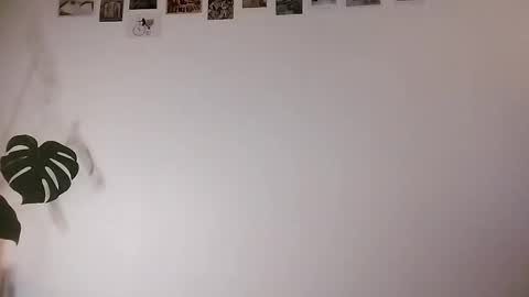 Snapshot of ranchoarg chatting on 30, 4, 2026 ranchoarg online show from 30, 4, 2026