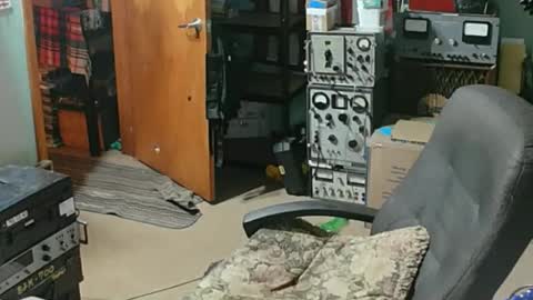 Snapshot of randalltotazz chatting on 21, 4, 2026 Randall online show from 21, 4, 2026