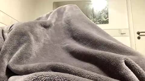 ranj00800 online show from 18, 12, 2025