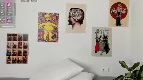 Raven online show from 14, 11, 2025