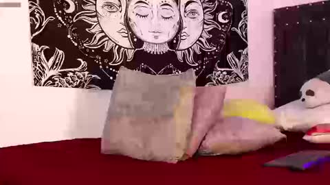 Raven online show from 13, 3, 2026