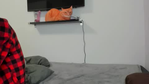 Snapshot of raveneusbiter chatting on 10, 2, 2026 Raveneusbiter online show from 10, 2, 2026