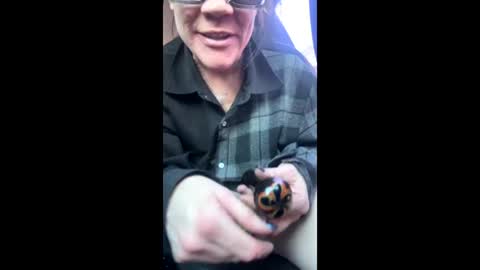 Raven Ray online show from 9, 2, 2026