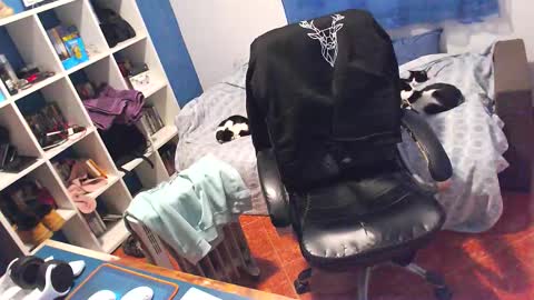 ravingr3d3 online show from 5, 2, 2026