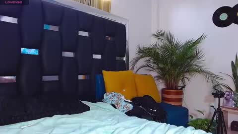 Snapshot of raydevil_ chatting on 25, 1, 2025 Rayn online show from 25, 1, 2025