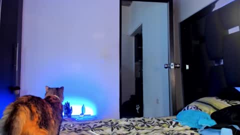 Snapshot of raydevil_ chatting on 28, 9, 2025 Rayn online show from 28, 9, 2025