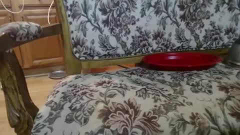 Snapshot of raysmith77777777 chatting on 1, 2, 2026 Ray online show from 1, 2, 2026