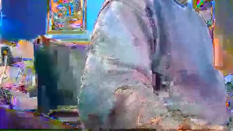 Snapshot of rb69er905364 chatting on 28, 12, 2024 rb69er905364 online show from 28, 12, 2024