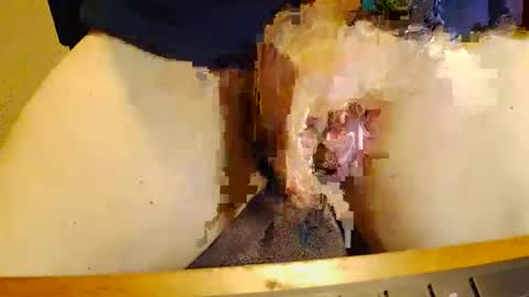 Snapshot of rb69er905364 chatting on 17, 11, 2025 rb69er905364 online show from 17, 11, 2025