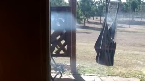 Snapshot of ready4aride2day chatting on 18, 2, 2026 ready4aride2day online show from 18, 2, 2026