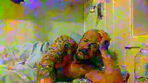 real_viking1 online show from 2, 11, 2025