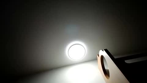 Lenae Redd online show from 28, 3, 2026