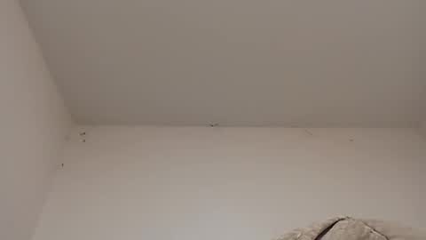 Snapshot of rednicedick chatting on 22, 1, 2025 rednicedick online show from 22, 1, 2025