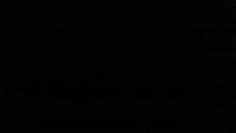 redorchard online show from 14, 11, 2025