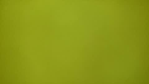 Redplume online show from 12, 2, 2026