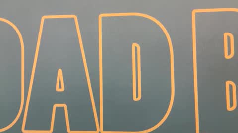 Reese Rideout online show from 8, 12, 2024