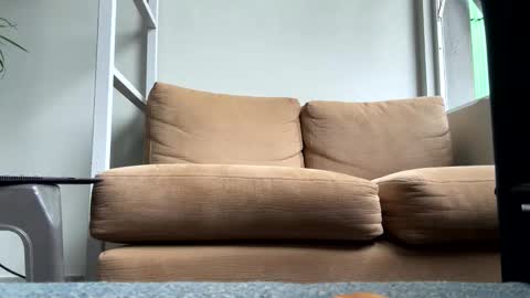 rgneo online show from 22, 11, 2025