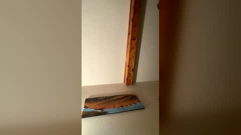 Snapshot of rhinodickasaurus chatting on 17, 12, 2025 RhinoDickasaurus online show from 17, 12, 2025