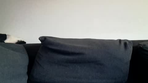 Shaved cock ready online show from 31, 3, 2026