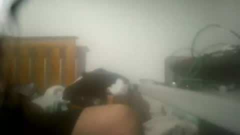 Snapshot of ricardll chatting on 4, 7, 2026 ricardll online show from 4, 7, 2026