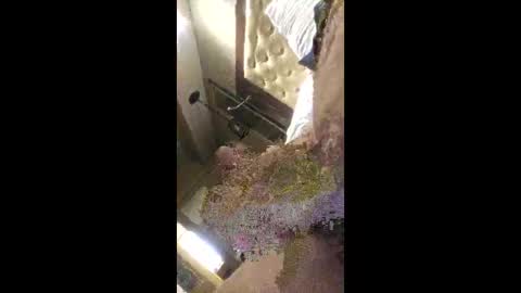 Snapshot of rich7665 chatting on 26, 4, 2026 rich7665 online show from 26, 4, 2026