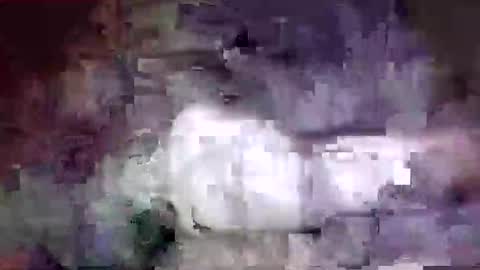 Snapshot of richard11268869 chatting on 24, 12, 2024 richard11268869 online show from 24, 12, 2024