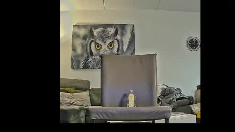 richard__076__ online show from 3, 4, 2026