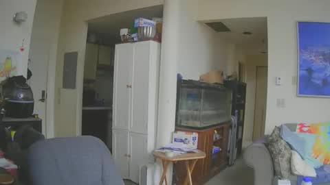 Snapshot of rickl56 chatting on 13, 3, 2026 rickl56 online show from 13, 3, 2026