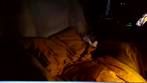 PINK HOLE TWINK online show from 6, 3, 2026