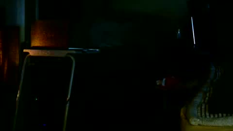 Snapshot of ricks4fun chatting on 11, 4, 2026 PINK HOLE TWINK online show from 11, 4, 2026