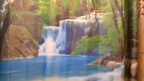 bwc daddy online show from 9, 12, 2024