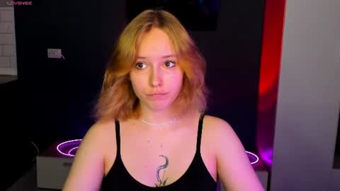 rikkitikkitavik online show from 3, 7, 2026