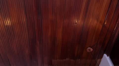 Snapshot of riley_reid_19 chatting on 10, 1, 2025 kamila online show from 10, 1, 2025