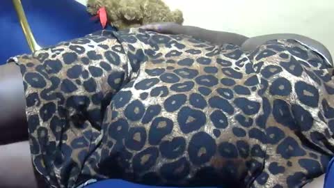 cookie online show from 29, 12, 2024