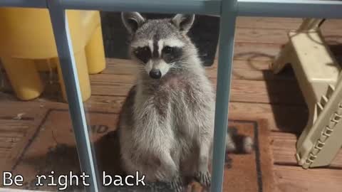 Ryan aka KeylimeRy online show from 4, 12, 2025