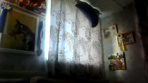 rob18997 online show from 16, 11, 2025