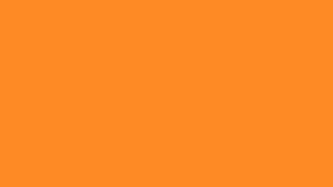 robb_strk online show from 13, 6, 2026