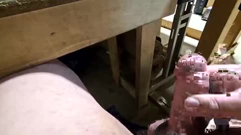 robbiebob6828 online show from 14, 1, 2026