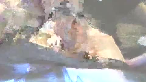 Snapshot of robertharley chatting on 2, 12, 2025 robertharley online show from 2, 12, 2025