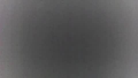 roberttocumcum online show from 19, 2, 2026