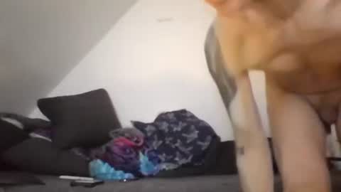 Zenek online show from 26, 2, 2026