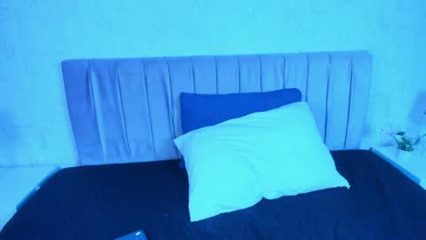 Snapshot of robinbennett chatting on 1, 4, 2026 robin D online show from 1, 4, 2026